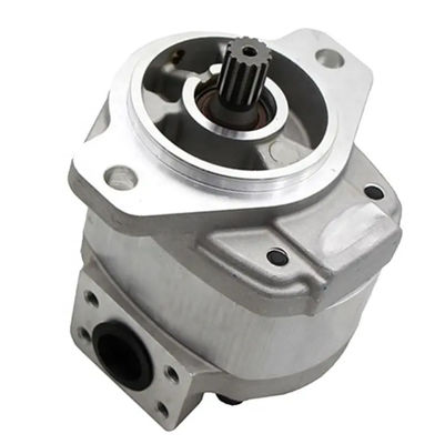 D21 D31P-20 Hydraulische tandwielpomp 705-12-33110