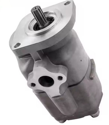 Hydraulische pomp voor Kubota L2950 L2250 L2850 L3450 L3250 Series Tractor 31391-76103