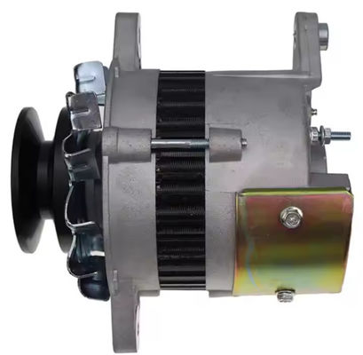 Alternator 600-821-3860 Voor PC60 PC80 Graafmachine 4D95 4D95S Motor 24V 15A